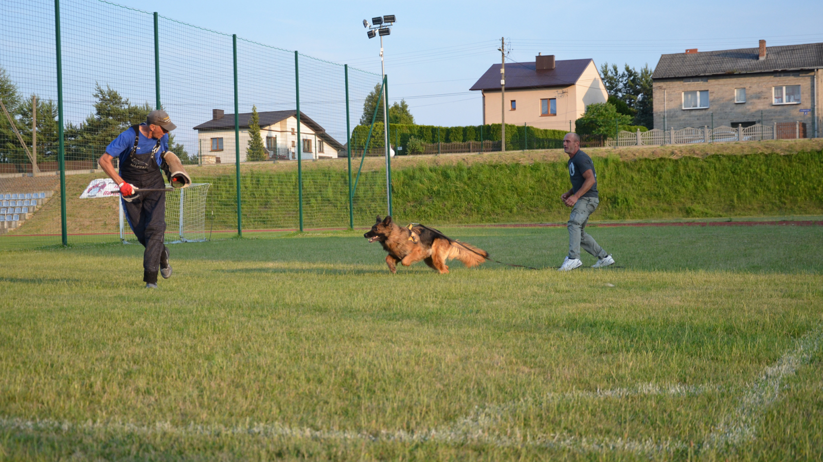 REGULAMIN LICENCJI HODOWLANEJ DLA PSÓW RASY OWCZAREK NIEMIECKI.