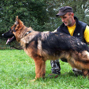 abi-boss-haker-1-20170924-2037002659