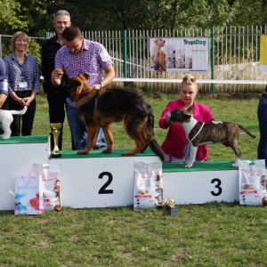 hassan-boss-haker-wystawa-1-20170926-1496953320