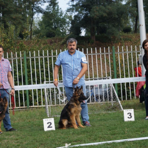 hassan-hapy-hachi-boss-haker-wystawa-1-20170926-1311744415