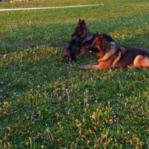 hassan-i-hossa-boss-haker-2-20171010-1617882488