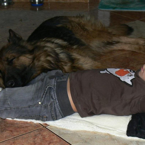 hossa-z-hetmaskiej-sfory-1-20171215-2092933780