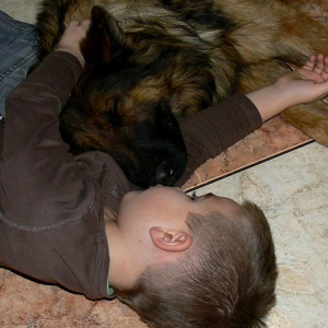 hossa-z-hetmaskiej-sfory-2-20171215-1153166147