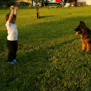 igorek-szkoli-swojego-psa-6-20171130-1436361688