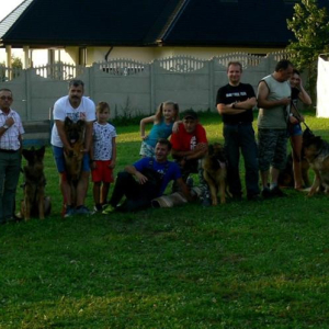 niedzielne-spotkanie-znajomych-psiarzy-1-20171031-1240938879