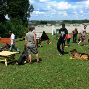 niedzielne-spotkanie-znajomych-psiarzy-2-20171031-1493469632