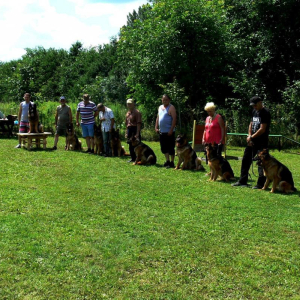 niedzielne-spotkanie-znajomych-psiarzy-3-20171031-1879433935