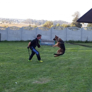 rossa-boss-hakerna-szkoleniu-1-20171010-1695115576