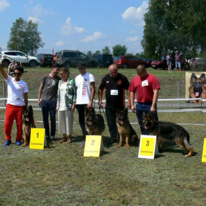 wystawa-czstochowa-rossa-boss-haker-1-20170927-1804041601