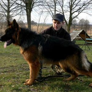 zahar-hen-mi-10-miesicy-1-20171213-1303907056