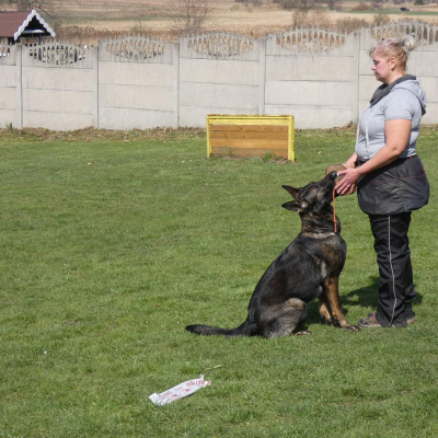 egzaminy-i-testy-1-20220424-1410669324