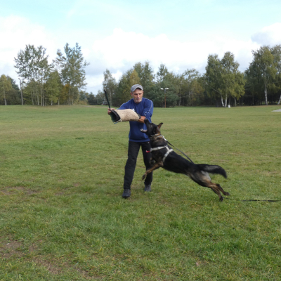 szkolenie-boss-haker-3-20211016-1108430664