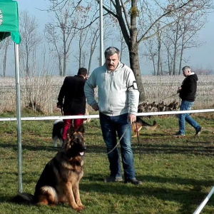 armi-sfora-zozy-2-20181125-1557049489