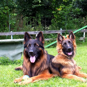 hassan-i-jego-corcia-1-20180702-1152209334