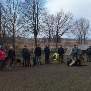 niedzielne-spotkanie-znajomych-psiarzy-1-20180114-1855095852