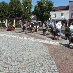 szkolenie-w-plenerze-1-20180719-1799328211