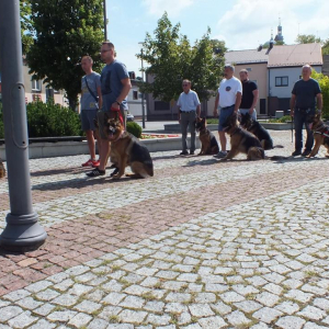 szkolenie-w-plenerze-7-20180715-1405754745