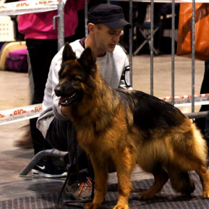 arrika-wystawa-bdzin-2-20190130-1716210717