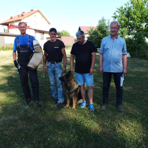 egzaminy-29-06-2019r-sdzia-janusz-arnold-1-20190701-1286331362