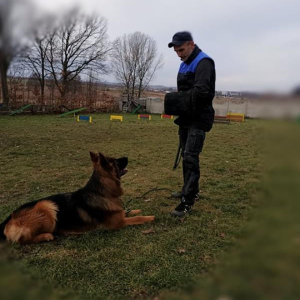 ron-zakoczy-szolenie-do-igp-i-1-20191215-1838508741