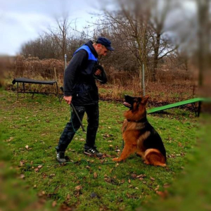 ron-zakoczy-szolenie-do-igp-i-20191215-2035064388