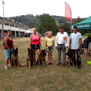 wystawa-wisa-2019r-klasa-uytkowa-lokata-i-1-20190708-2016759249