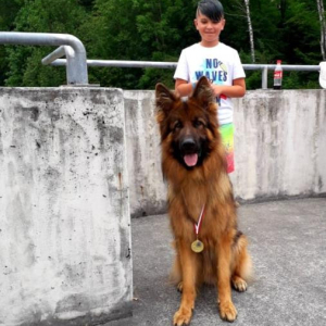 wystawa-wisa-2019r-klasa-uytkowa-lokata-i-2-20190708-1512424620