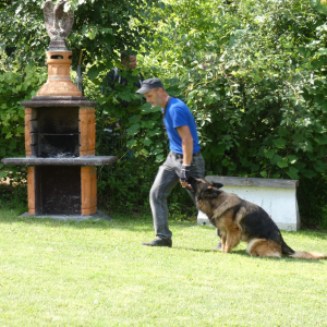 egzaminy-2020r-1-20200916-1337110587