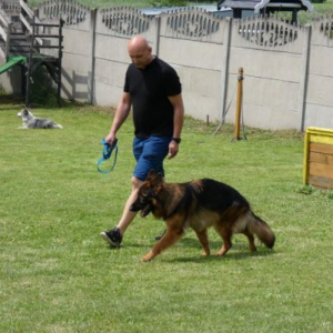 egzaminy-2020r-10-20200917-1183716103