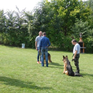 egzaminy-2020r-5-20200917-1677649488