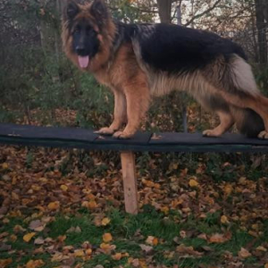 haker-9-miesicy-1-20201031-1391376050