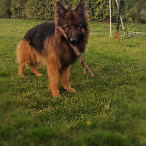 odemon-w-stoj-mam-ju-3-lata-1-20200507-1687842662