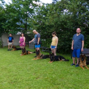 sobotnie-szkolenie-1-20200917-1146225796