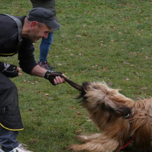 sobotnie-szkolenie-1-20201129-1176365050