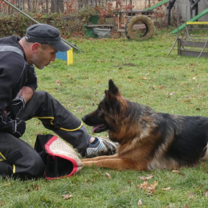 sobotnie-szkolenie-1-20201129-1600839626