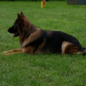 sobotnie-szkolenie-1-20201227-1022835228