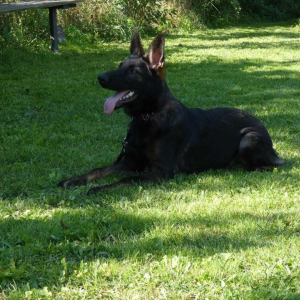 sobotnie-szkolenie-2-20200917-1397847358