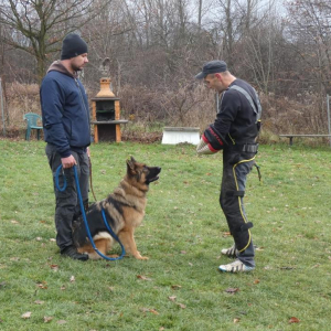 sobotnie-szkolenie-2-20201129-1513547796