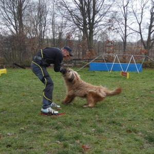 sobotnie-szkolenie-przygotowanie-do-testow-1-20201129-1706014152