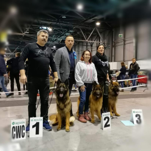 wystawa-bdzin-2020r-armi-cwc-1-20200205-1604886684