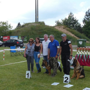 i-krajowa-wystawa-owczarkow-niemieckich-gniazdow-05-06-2021r-ruda-carmel-2-20210613-1532962752