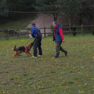 obrona-z-pozorantem-1-20210517-1957400335