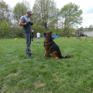 obrona-z-pozorantem-4-20210517-1375235240