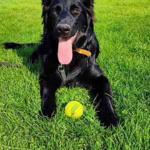 majka-z-rudzkiej-watahy-1-20220501-1831745547