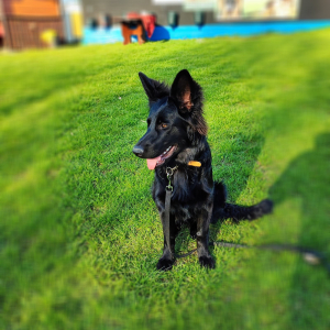 majka-z-rudzkiej-watahy-2-20220501-1780685275