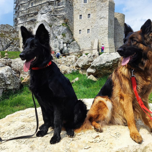 majka-z-rudzkiej-watahy-zamek-w-mirowie-1-20220501-1759470859