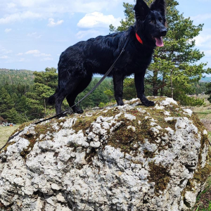 majka-z-rudzkiej-watahy-zamek-w-mirowie-2-20220501-1156139803