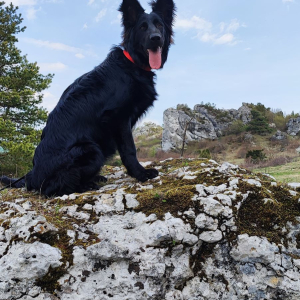 majka-z-rudzkiej-watahy-zamek-w-mirowie-3-20220501-1759100509