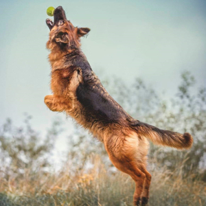 nataszka-i-jej-suczka-nela-3-20221203-1487465934