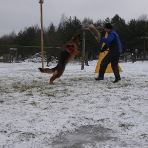 ruda-szaleje-1-20220120-1640525496